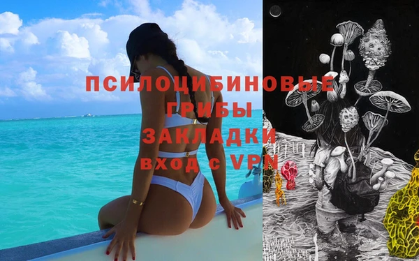 ГАЛЛЮЦИНОГЕННЫЕ ГРИБЫ Алексин