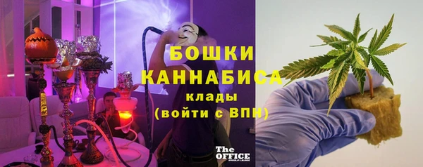 ГАЛЛЮЦИНОГЕННЫЕ ГРИБЫ Алексин