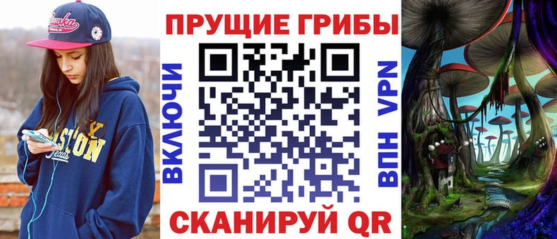 KRAKEN ONION  Тамбов  Псилоцибиновые грибы мухоморы 